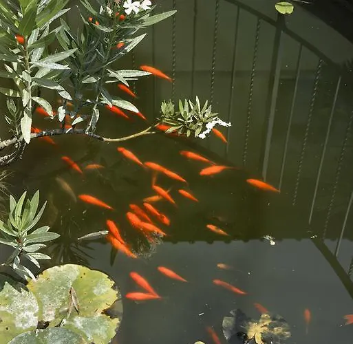 Parri Residenza D'epoca *